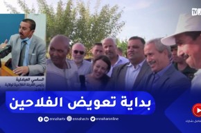 الطارف .. المرحلة الأولى من التعويضات تخص المواشي وتشمل 131 متضررا