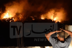 حرائق الغابات.. هذه الطرقات مغلقة