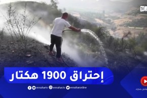 أكثر من 1900 هكتار خسائر ألحقه أزيد من 800 حريق منذ بداية الصيف ببجاية