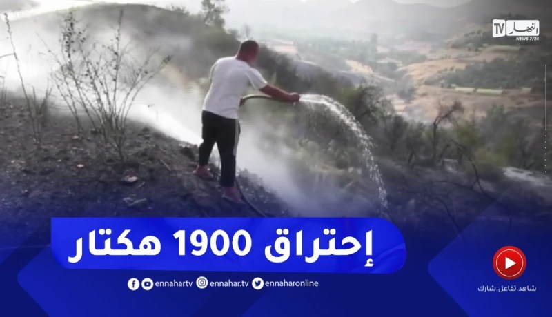 أكثر من 1900 هكتار خسائر ألحقه أزيد من 800 حريق منذ بداية الصيف ببجاية