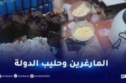 حليب داخل أكياس القمامة.. غشاش اللبن بالعاصمة في قبضة الأمن