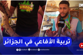 تربية الأفاعي.. النسور والحيوانات النادرة تستهوي الشباب