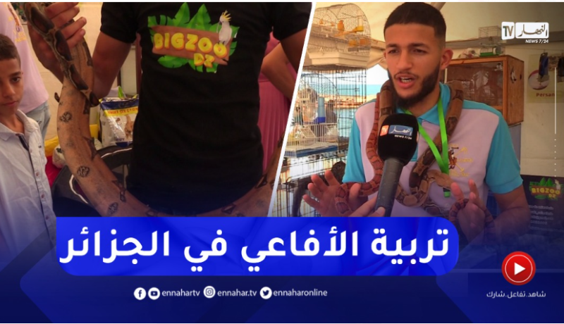 تربية الأفاعي.. النسور والحيوانات النادرة تستهوي الشباب