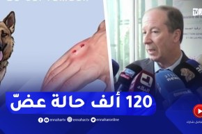 جمال فورار حول حصيلة داء الكلب..”120 ألف حالة عضّ سنويا “