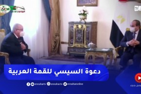 رمطان لعمامرة يسلم الرئيس المصري رسالة من رئيس الجمهورية يدعوه فيها للمشاركة في القمة العربية