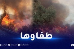سطيف.. إخماد حريق غابي ببني شبانة