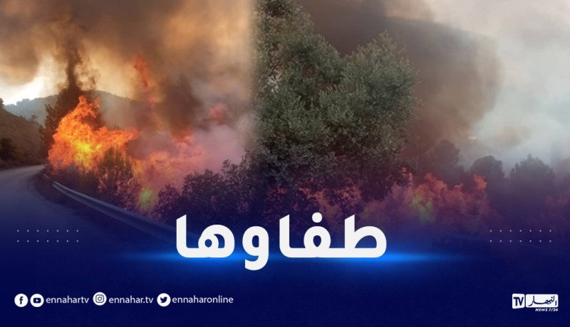 سطيف.. إخماد حريق غابي ببني شبانة