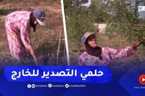 الحاجة مبروكة بالطارف .. فلاحة مكافحة تطمح في تصدير منتوجها إلى الخارج