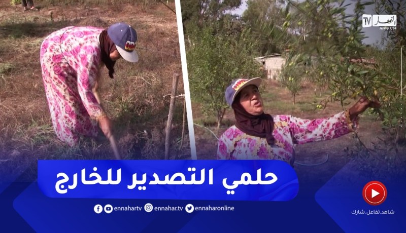 الحاجة مبروكة بالطارف .. فلاحة مكافحة تطمح في تصدير منتوجها إلى الخارج