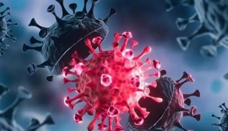 “سلالة فيروسية قاتلة” أخطر من كورونا تنتشر في أنحاء العالم