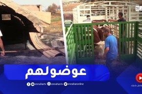 قالمة: الشروع في عملية تعويض قرابة 100 فلاح متضرر من الحرائق