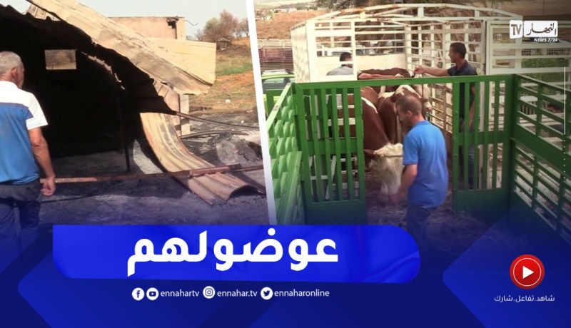 قالمة: الشروع في عملية تعويض قرابة 100 فلاح متضرر من الحرائق