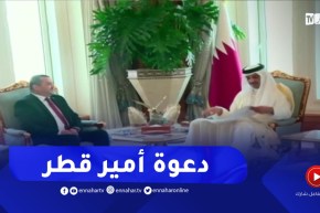 الرئيس عبد المجيد تبون يوجه دعوة الحضور للقمة العربية لأمير دولة قطر