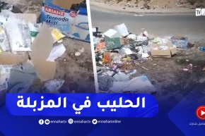 مشاهد صادمة..عشرات من أكياس الحليب المدعم مرمية في النفايات بحي الوئام بخميس مليانة