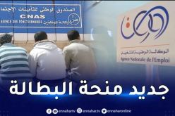 منحة البطالة.. تكوين تأهيلي ولا “مكانش”