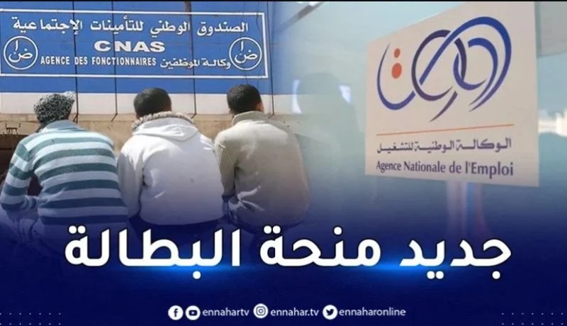 منحة البطالة.. موقع “لانام” يطلق منصة رقمية جديدة