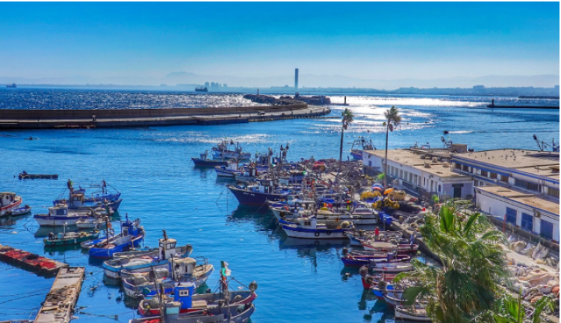 ارتفاع نشاط ميناء الجزائر
