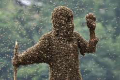 أمريكي يتعرض لـ20 ألف لسعة ويبتلع 30 نحلة