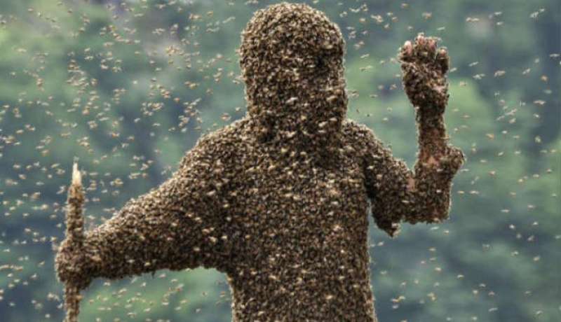 أمريكي يتعرض لـ20 ألف لسعة ويبتلع 30 نحلة