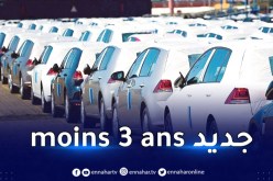 سيارة أقل من 3 سنوات مرة واحدة كل ثلاث سنوات.. والسماح بجمركة السيارات القوية لسكان الهضاب والصحراء