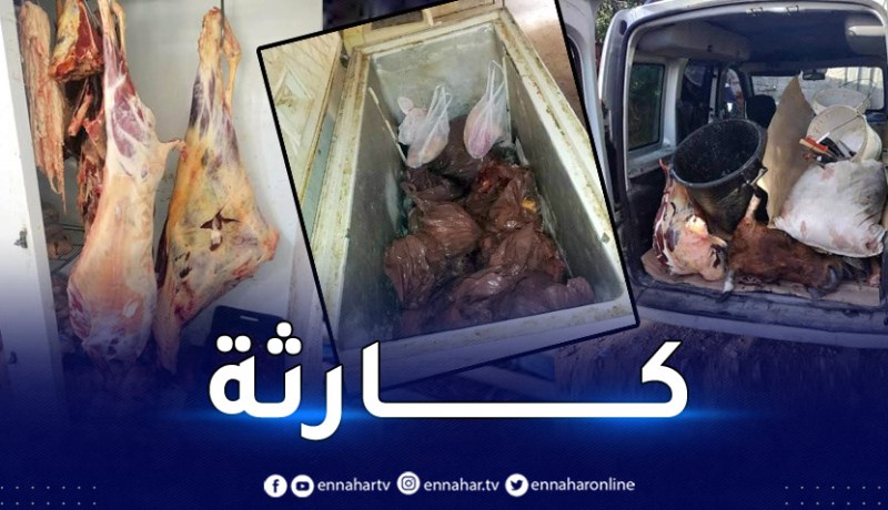 عنابة: العثور على مذابح غير شرعية بسيدي عمار وحجز كمية معتبرة من اللحوم الفاسدة