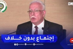 المالكي: القضية الفلسطينية لم يكن عليها أي خلاف منذ بداية الإجتماعات