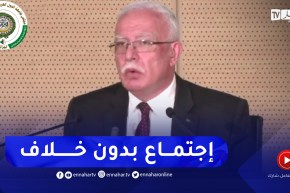 المالكي: القضية الفلسطينية لم يكن عليها أي خلاف منذ بداية الإجتماعات