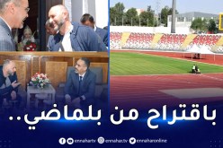 وزير الرياضة:”الخضر سيخوضون مباراتين وديتين بحملاوي الشهر المقبل”