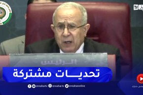 لعمامرة: يتعين علينا مضاعفة الجهود كمجموعة موحدة لمواجهة التحديات