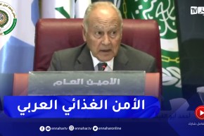 أبو الغيط: أزمة الغذاء تمثل أولوية مهمة ونأمل تدشين إستراتيجية لتحقيق الأمن الغذائي