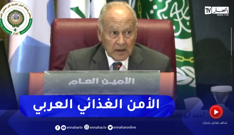 أبو الغيط: أزمة الغذاء تمثل أولوية مهمة ونأمل تدشين إستراتيجية لتحقيق الأمن الغذائي