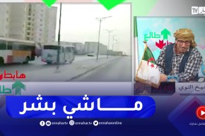 “طالع هابط: الشيخ النوي.. ” هذو ماشي بشر ويلعبوا بأرواح الناس