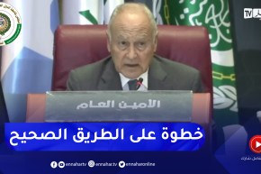 أبو الغيط: نتطلع لترجمة واقعية لاتفاق الجزائر وإلتزام الأطراف الفلـ.سطينية ببنوده