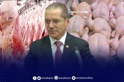 ارتفاع أسعار اللحوم .. الوزير يكشف الاسباب