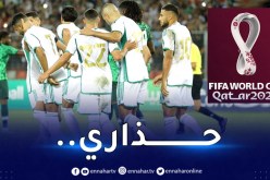 بالفيديو.. الفيفا تُشيد بالمنتخب الوطني قبل مونديال قطر !