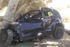 مستغانم: وفاة شخص في حادث إصطدام سيارة بشجرة