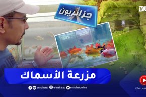 جزائريون: تربية الأسماك تجربة فريدة تستحق التشجيع