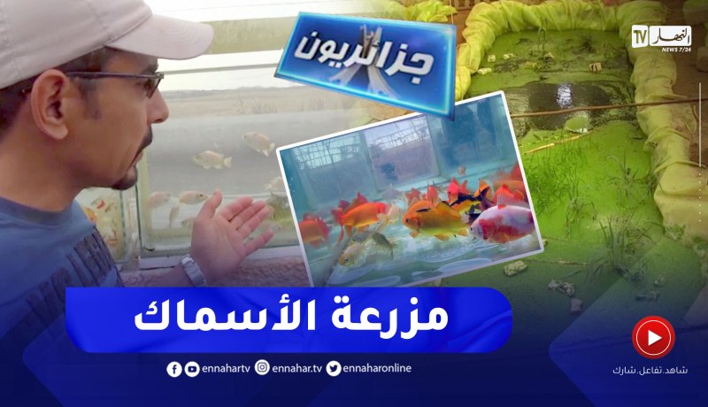 جزائريون: تربية الأسماك تجربة فريدة تستحق التشجيع