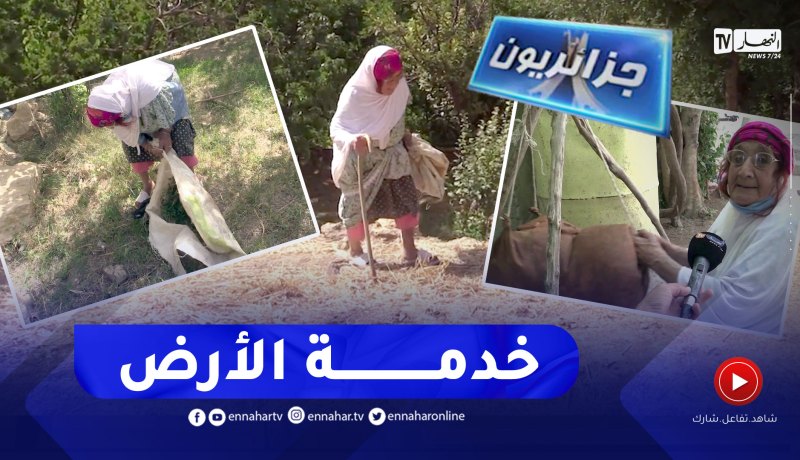 جزائريون: عجوز جزائرية تقاوم الزمن بزراعة الأرض