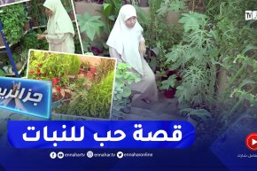 جزائريون: مشروع فتي في طريق النجاح