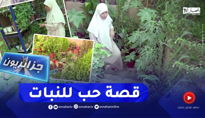 جزائريون: مشروع فتي في طريق النجاح
