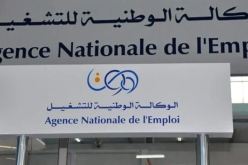 جديد منحة البطالة
