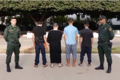 وهران.. 4 سنوات سجنا نافذا ضد عصابة بيع لحوم الحمير
