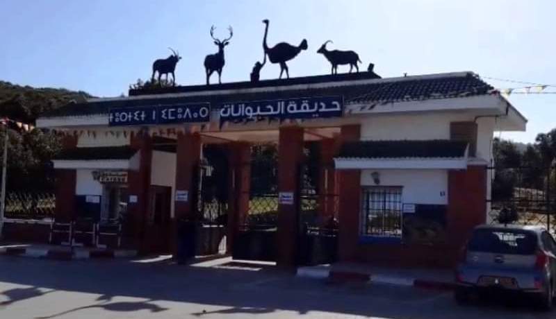 جيجل.. بعد كارثة نفوق الحيوانات..الوالي يتوعد بمحاسبة المتسببين ويكلف لجنة بتسيير حديقة التسلية بالعوانة