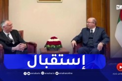 “الوزير الأول يستقبل “كارلوس تفاريس” الرئيس المدير العام لـمجمع “ستيلونتيس