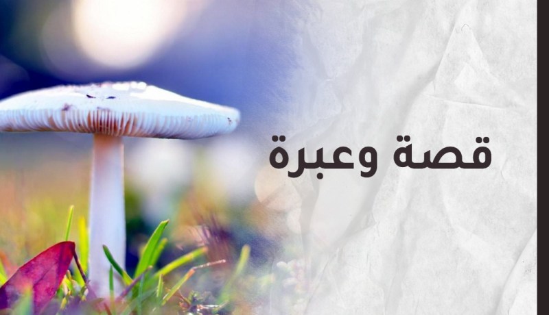 أنا ليلك الأسود يا أبي