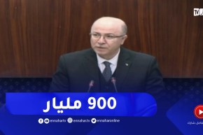 الوزير الأول : قامت الحكومة بتعزيز مخزون الحبوب بدعم مالي تجاوز 900 مليار دينار