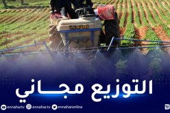 إنتاج 7 ملايين طن من الأسمدة.. توزيع 7 آلاف طن من حبيبات اليوريا على الفلاحين