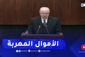 الوزير الأول : إطلاق 219 إنابة قضائية من أجل تحديد وحجز ومصادرة الأموال المهربة إلى الخارج