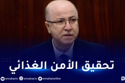 الوزير الأول: 900 مليار دج لتعزيز مخزون الجزائر من الحبوب